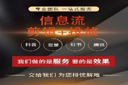 某电商平台的SEM策略与效果展示